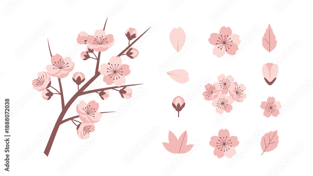 Fototapeta premium Pink Cherry Blossom Branch and Petals - Spring Floral Elements