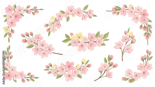 Pink Cherry Blossom Branches and Corner Borders, Spring Floral Elements