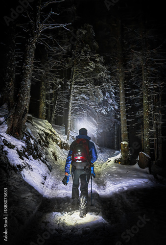 Alpine Winter
