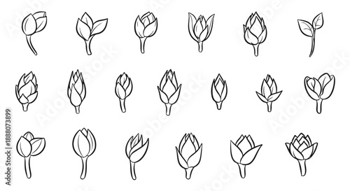 Simple Flower Bud Icons Set. Minimalist Outline Line Art Vector Collection of Unopened Blooms isolated on white background.