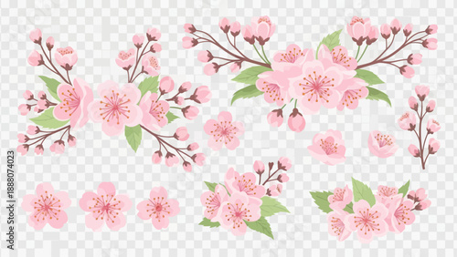Pink Cherry Blossom Branches with Green Leaves Isolated on Transparent Background