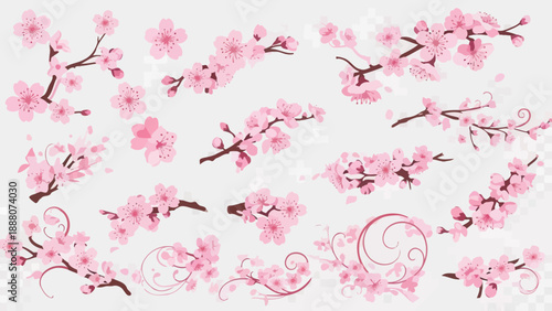 Pink Cherry Blossom Branches Vector Illustration - Spring Floral Elements