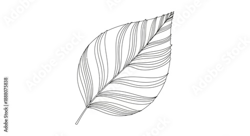 "Dark Elegance: Skulls, Spirits & Nature"