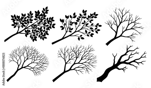 Modern black tree branch silhouette collection on gray background vector