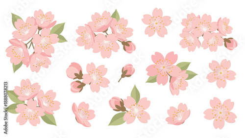 Spring Cherry Blossom Collection: Delicate Pink Flowers and Buds, Isolated