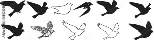 Set of twelve flying bird illustrations in varied styles including silhouette, outline, and feathered sketch for nature-themed vector design and wildlife art projects.