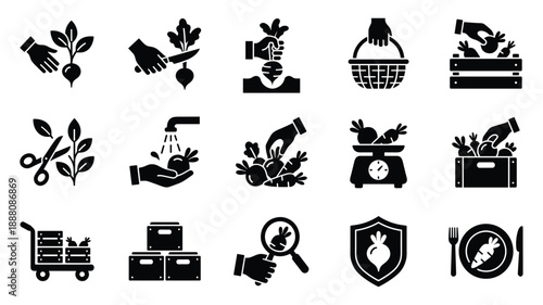 Set of black icons representing harvesting, processing, and selling vegetables on transparent background