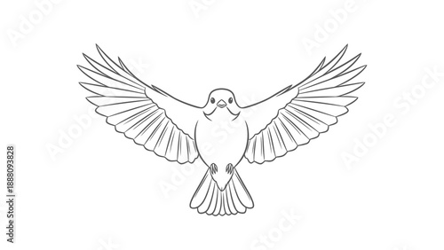 Bird in flight with outstretched wings