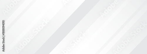 White abstract background. Silver effect texture. Light gray colour textur. Grey platinum pattern. Modern backdrop. Gradient delicate surface print. Design bg for business prints. Vector illustration