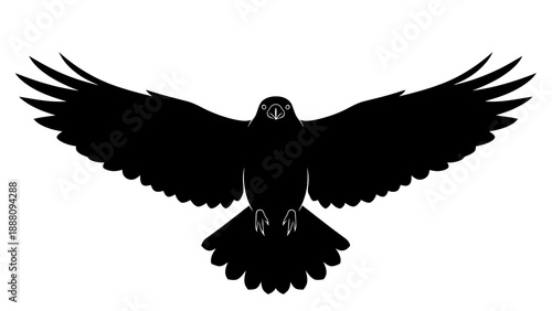 Bird flying with spread wings silhouette