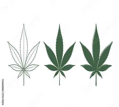 Three cannabis leaves presented in varying shades outline solid black and vibrant green