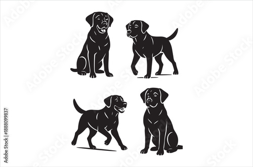 Four black labrador retrievers in various poses against a white background