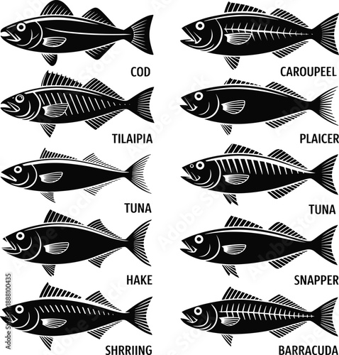 Fish silhouettes identification chart showing cod, tuna, tilapia, snapper and barracuda species, black marine animal icons set for fishing, seafood, biology and education concepts