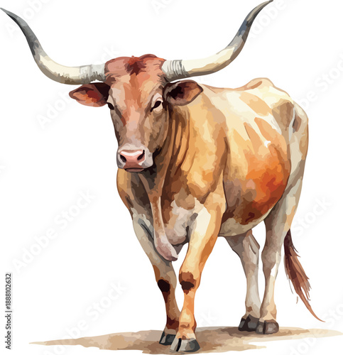 Longhorn Cattle Cow Animal Classic Watercolor Illustration