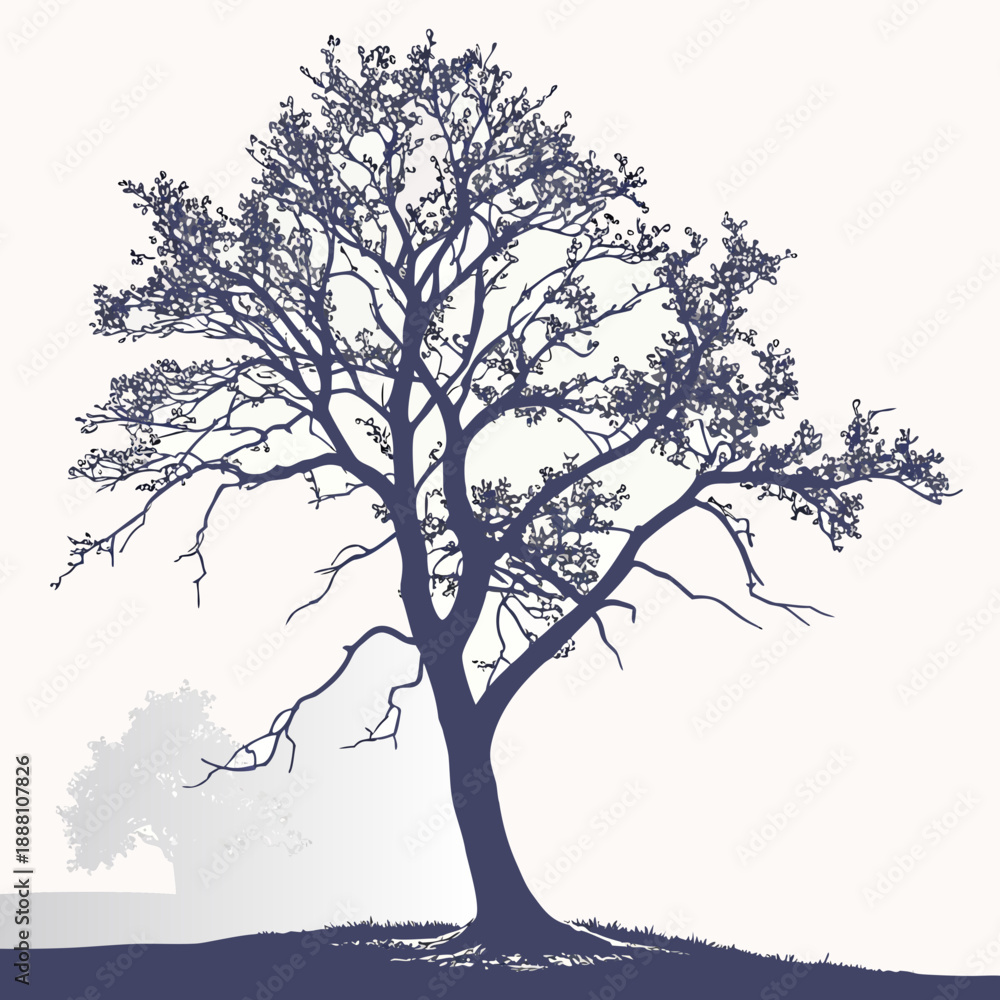 Fototapeta premium Silhouette of a lonely tree