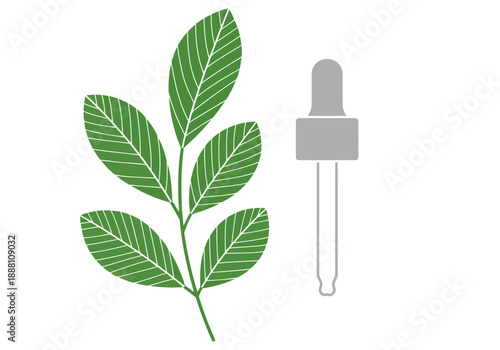 Botanical sprig texture perfume bottle illustration. Clean, modern design with a green leaf and dropper. Perfect for beauty, wellness, and lifestyle branding.