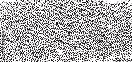 Small uneven spots and particles of debris. Abstract vector texture.  Distressed uneven background. Grunge texture overlay with fine grains isolated on white background. Vector illustration. EPS10.