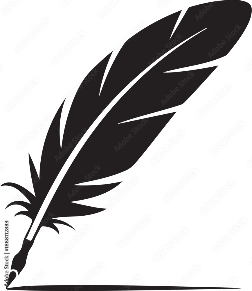 Fototapeta premium Black feather with white details on white background