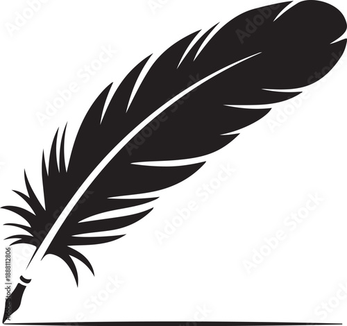 Black feather with quill tip on white background