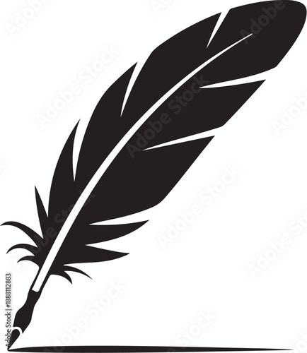 Black feather with white details on white background