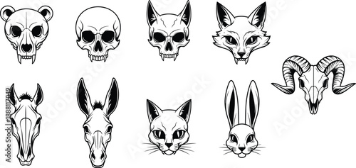 Set of animal skull and head illustrations in black and white line art, bear, fox, cat, rabbit, horse, ram designs.