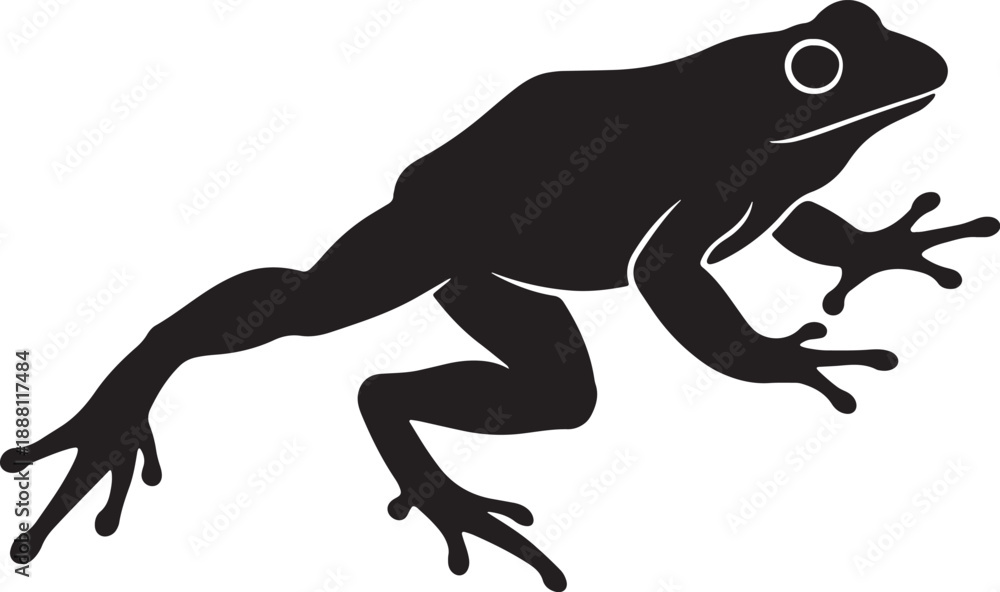 Fototapeta premium Black Silhouette of a Frog with a White Eye and Limbs Extended also transparent background