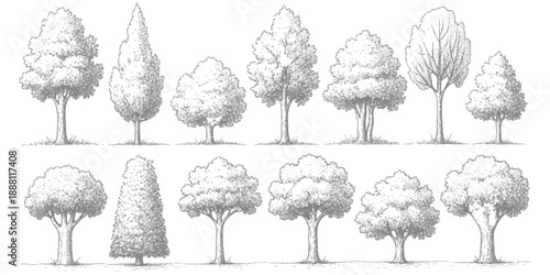 Collection of hand-drawn deciduous and coniferous trees in sketch style