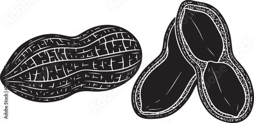 Three black and white peanut shells with intricate line patterns also transparent background outline