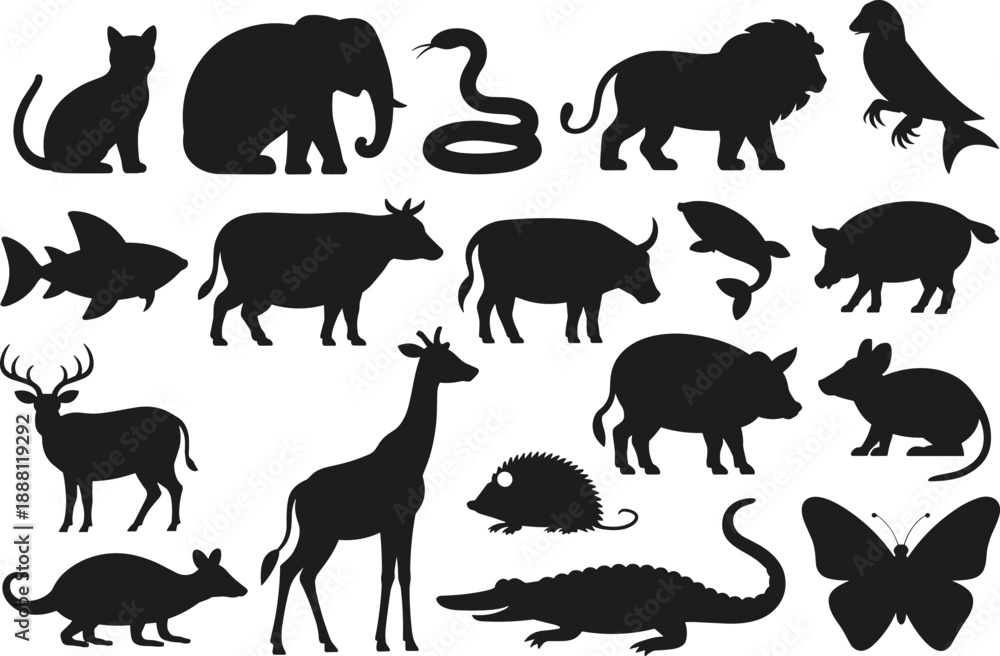 Obraz premium Animal silhouette illustration, diverse species in black, land sea air creatures, white background, educational and design reference