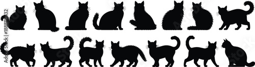 Cat silhouette illustration, black feline figures in varied poses and fur styles, white background, animal behavior and design reference