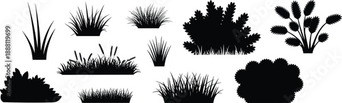 Grass and shrub silhouette illustration, black plant shapes, botanical variety, landscaping elements, white background, natural design reference