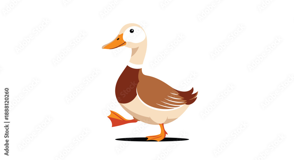 Obraz premium Simple illustration of a brown and white duck walking on a white background suitable for children educational materials.