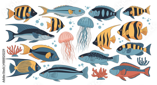 Diverse collection of colorful tropical fish and graceful jellyfish illustrations representing the vibrant life of coral reefs.