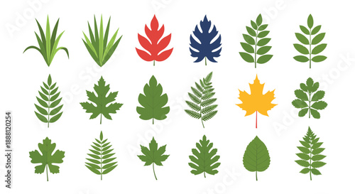 Collection of eighteen diverse leaf types in various colors and shapes representing the beauty of nature and autumn season.