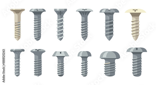 Set of twelve different metallic screws in various shades and head types for hardware, construction, and diy project themes.
