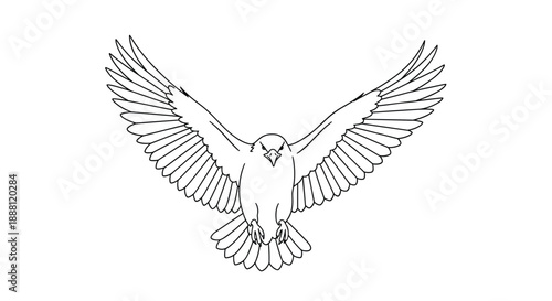 Powerful eagle with wings widely spread in a detailed black and white line art drawing representing freedom and strength.
