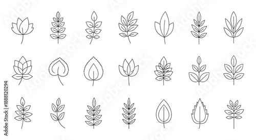 Collection of twenty-one diverse leaf types in a minimalist black and white line art style for botanical studies and decor.