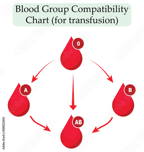 Blood Type Compatibility Chart for Medical Education, Healthcare Transfusion Guide, and Biology Science Study. fully editable eps 10.