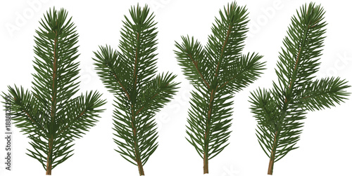 Realistic evergreen pine tree branches illustration set isolated on white background for nature, winter, and Christmas designs