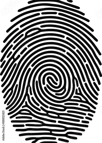 A detailed biometric fingerprint scan illustration, perfect for identity verification, security access, and digital authentication concepts