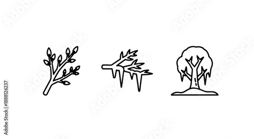 Line art icons depicting plant growth stages: a budding branch, frozen branches, and a mature tree in winter.
