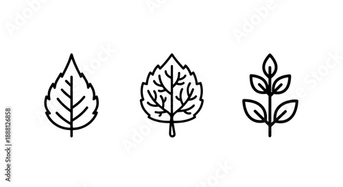 Leaf and sprout icons representing nature, growth, and organic elements
