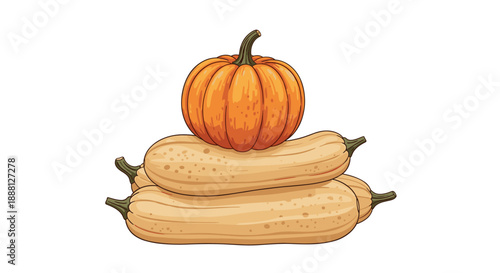 Stack of three long squashes with a round orange pumpkin on top is shown in a detailed illustration for a harvest or autumn theme.