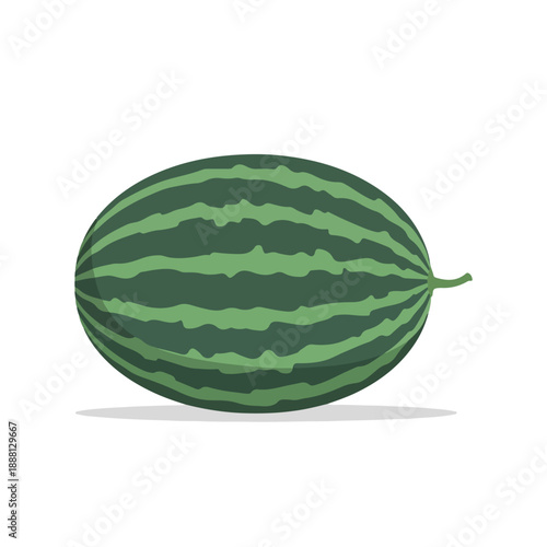 Watermelon Fruit on White Background