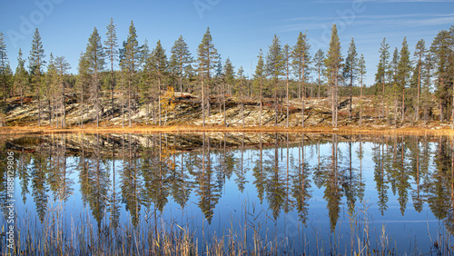 Canvas Print Coniferous trees reflected in a mirror-like lake