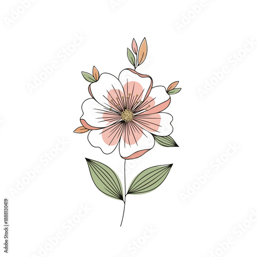 Flower Bloom with Pink White Petals and Green Leaves