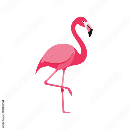 Pink Flamingo Standing On One Leg