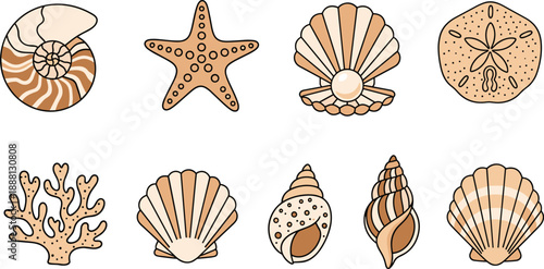 Seashells starfish coral and sand dollar in beige tones nautilus
