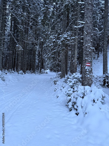 Wallpaper Mural Schnee wandern in Österreich  Torontodigital.ca