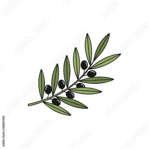Olive Branch with Black Olives
